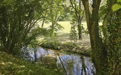 Qu’est-ce que la bioénergie ?