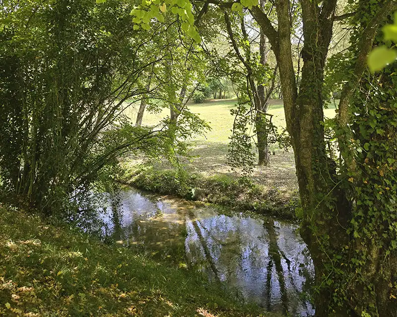 Qu’est-ce que la bioénergie ?